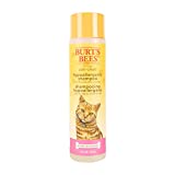 Burt's Bees for Cats Hypoallergenic Cat Shampoo with Shea Butter & Honey | Best Shampoo for Cats with Dry or Sensitive Skin | Cruelty Free, Sulfate & Paraben Free, pH Balanced for Cats - 10 Fl Oz