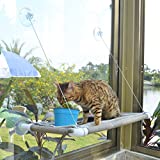 Pupagree Cat Window Hammock Cat Window Mounted Perch Safety Cat Resting Shelf 360° Sunny Seat Space Saving Cat Beds for Indoor Cats in Premium Beige