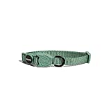 ZEE.DOG | Army Green Cat Collar | Breakaway Collar | One Size