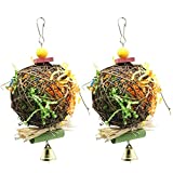 EBaokuup 2 Pack Bird Chewing Toys Foraging Shredder Toy Parrot Cage Shredder Toy Foraging Hanging Toy for Cockatiel Conure African Grey Amazon