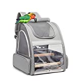 Texsens Bird Carrier Backpack - Pet Travel Cage with Stainless Steel Tray and Standing Perch, Breathable & Portable, for Small Birds, Green Cheek, Cockatiel, Parrot (Grey)