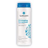 SpaGuard Chlorinating Concentrate - 2 lbs