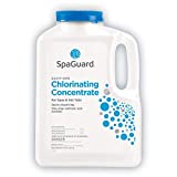 SpaGuard Spa Chlorinating Concentrate - 5 Lb