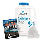 SpaGuard Spa Chlorine Concentrate 5lb with Scum Absorber and Hot Tub E-Book