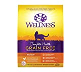 Wellness Complete Health Grain-Free Indoor Deboned Chicken Recipe Dry Cat Food, 11.5 Pound Bag