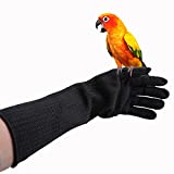 Bird Training Anti-Bite Gloves, Small Animal Handling Gloves, Chewing Working Safety Protective Gloves for Parrot Squirrels Hamster Hedgehog (1 Pair)