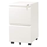 DEVAISE 2-Drawer Mobile File Cabinet with Lock, Commercial Vertical Cabinet, White
