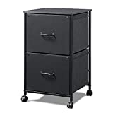 DEVAISE 2 Drawer Mobile File Cabinet, Rolling Printer Stand, Fabric Vertical Filing Cabinet fits A4 or Letter Size for Home Office, Black