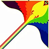 Kite for Kids & Adults, Kites for Kids Ages 4-8 or 8-12 Colorful Bird Kites Easy to Fly with 5 Colorful Ribbons and 330ft Kite String, Extremely Easy Assemble