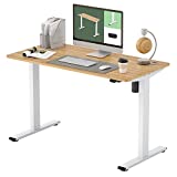 FLEXISPOT EG1 Essential Standing Desk, Height Adjustable Desk Electric Sit Stand Desk 48 x 24 Inches with Splice Board Home Office Desks (White Frame + Maple Top)