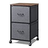 DEVAISE 2 Drawer Mobile File Cabinet, Rolling Printer Stand, Fabric Vertical Filing Cabinet fits A4 or Letter Size for Home Office, Rustic Brown