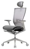 SIDIZ T50 Home Office Desk Chair : Ergonomic Office Chair, Adjustable Headrest, 2-Way Lumbar Support, 3-Way Armrests, Forward Tilt Adjustment, Adjustable Seat Depth, Ventilated Mesh Back