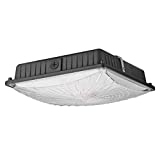 1000LED 65W LED Canopy Light Fixture, 8,000 Lumens, 300W-400W Replacement, 10' x 10' 5000K, AC100-277V, Waterproof IP65, for Warehouse Light,Shop Building Area, Outdoor Lighting