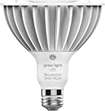 GE Grow LED Light Bulb, For Seeds and Greens, Balanced Light Spectrum, Medium Base, PAR38 Bulb Shape (Pack of 1)