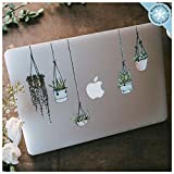 Hanging Plant Laptop Sticker Pack - Plant Stickers Laptop Decal - Laptop Stickers for Women - Vinyl Decal Journal Sticker - Cute Artsy Stickers for Planner, Computer, Locker, Scrapbook, Diary Notebook, Macbook, iPad, or Luggage