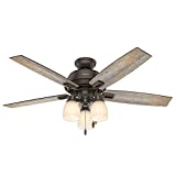 Hunter Donegan Indoor Ceiling Fan with LED Lights and Pull Chain Control, 52', Onyx Bengal