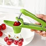 Cherry Pitter Tool, Heavy Duty Olive Pitter Tool,Cherry Stoner Pitter Core Remover, Portable Cherry Pitter kitchen aid with Space-Saving Lock Design - Green