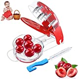 Cherry Pitter, Cherry Olive Pitter Tool with 6 Cherries At Once, Multifunction Fruit Pit Remover Kitchen Tool for Making Cherry Pie and Jam