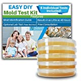 Air Mold Test Kit - Evviva Sciences - 5 Simple Mold Detection Tests - Optional Lab Analysis - Test HVAC System, Room Air, & Home Surfaces for Molds/Spores - Includes Detailed Mold ID Guide