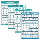 Palace Learning 4 Pack: Yoga Poses Posters Volume 1, 2 & 3 + Stretching Workout Exercise Chart (Laminated, 18' x 24')