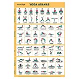 Sportaxis Yoga Poses Poster- 64 Yoga Asanas for Full Body Workout- Laminated Home workout Poster with Colored Illustrations - English and Sanskrit Names - 18' x 27' (Double Sided)