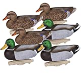 Flambeau Outdoors 8036SUV Storm Front 2 Mallard Decoys, Classic Floaters - 6-Pack