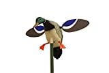 MOJO Baby Mallard Spinning Wing Duck Decoy, Duck Hunting Gear and Accessories, Drake