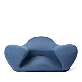 Alexia Meditation Seat Ergonomically Correct for The Human Physiology Zen Yoga Chair (Sky Blue, Fabric)