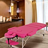 Aluminum Massage Table Portable Massage Table 3 Collapsible Massage Table Tattoo Bed 73-inch Long Adjustable Carrying case Spa Bed Face Cradle Salon Bed（Pink）