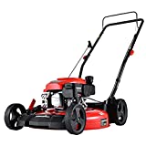 PowerSmart Push Lawn Mower Gas Powered, Side Discharge and Mulching Lawn Mower with 170CC 4-Stroke Engine, 21 Inch Lawnmower with 5 Adjustable Cutting Heights (1.18''-3.0'' )
