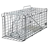 Gingbau Heavy Duty Live Animal Trap for Squirrels, Small Rabbits and More