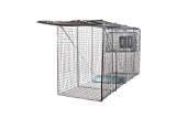 Animal Trap (58'x26'x17') - Best Humane Animal Trap for Large Dogs, Foxes, Coyotes and Other Similar Sized Animals. Easy Trap Catch & Release cage with 1-Door by LifeSupplyUSA