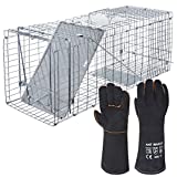 ANT MARCH Live Animal Cage Trap 32''x11.5'x13' Steel Humane Release Rodent Cage Iron Door for Rabbits, Stray Cat, Squirrel, Raccoon, Mole, Gopher, Opossum, Skunk, Chipmunks, Groundhog
