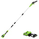 Greenworks 24V 8-Inch Cordless Pole Saw with 2Ah Battery and Charger Included