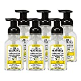 J.R. Watkins Foaming Hand Soap, Lemon, Scented Foam Handsoap for Bathroom or  Kitchen, USA Made and Cruelty Free, 9 fl oz ( Pack Of 6 )
