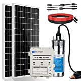 ECO-WORTHY Solar Deep Well Water Pump Kit 12V DC Submersible Water Pump with 2pcs 100W Mono Solar Panel 10AH Battery Controller for Well Pond Home Farm Stainless Steel- DELIVERY IN 3 PACKAGES