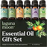 Essential Oils Set - Top Blends for Diffusers, Home Care, Candle Making, Fragrance, Aromatherapy, Humidifiers - Lavender, Eucalyptus, Lemongrass, Orange, Peppermint & Tea Tree (6 glass bottles x 10ml)