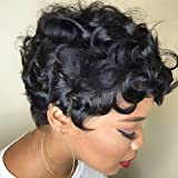 HOTKIS Short Curly Wigs for Black Women Black Curly Wigs Short Wigs Synthetic Hair Curly Wig for African Americans