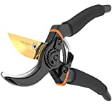 Premium Bypass Pruning Shears for your Garden - Heavy-Duty, Ultra Sharp Pruners Made with Japanese Grade Stainless Steel - Perfectly Cutting Through Anything in Your Yard - Includes Lifetime Warranty