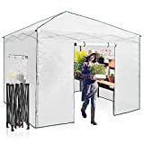 EAGLE PEAK 10'x 10' Portable Walk-in Greenhouse Instant Pop-up Easy Setup Indoor Outdoor Plant Gardening Green House Canopy, Front and Rear Roll-Up Zipper Entry Doors and 2 Large Roll-Up Side Windows