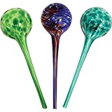 Wyndham House 3-piece Watering Globe Set, Colorful Hand-Blown Glass Plant Watering System