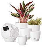 Vugosson 6 Pack Self Watering Planters with Saucers, 8/7/6.5/6/5.5/5 Inch Modern Flower Pot for All House Plants, Herbs, Succulent and Seeding Nursery (White, 6)