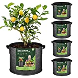 T4U Fabric Plant Grow Bags with Handles 10 Gallon Pack of 5, Heavy Duty Nonwoven Smart Garden Pot Thickened Aeration Nursery Container Black for Outdoor Potato, Tomato, Chili, Carrot and Vegetables