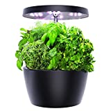 Smart Garden, Hydroponics Growing System with LED Grow Light, Indoor Herb Garden Starter Kit for Beginners, Black, 4 Pots