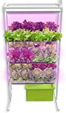 Herb Garden Starter Kit Indoor - Hydroponics Growing System with Nutrients and Herbs Seeds - Heirloom Non-GMO - All in One Ready to Grow (Vertical Herb Garden)