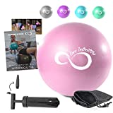 9 Inch Barre Pilates Ball & Hand Pump– Anti Burst Mini Ball & Digital Workout eBook Included for Yoga, Exercise, Balance & Stability Training – Comes with Mesh Carrying Bag (Rose, 9 Inch)