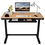 FLEXISPOT EB8 Standing Desk with Drawers Electric Sit Stand up Desk with Storage 48 x 24 Inches Bamboo Texture Desktop and Height Adjustable Black Frame (USB Charge Ports, Child Lock)