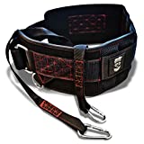 THEFITGUY Ultimate Dip Belt | Secure Closure - No Sliding Down | Structured Back Support | 45-Angle Rings - Comfort Dip Position | 40” Strap & 2 Snap Hooks - for Dips, Pull-Ups, Squats, Weight Lifting