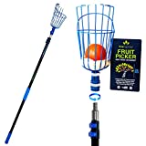 EVERSPROUT 13-Foot Fruit Picker (20+ Foot Reach) | Preassembled, Easy to Attach Twist-On Basket | Lightweight, High-Grade Aluminum Extension Pole | +Bonus Fruit Carrying Bag