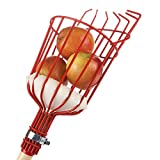 Home-X Fruit Picker Harvester Basket with Cushion to Prevent Bruising (Pole not Included)